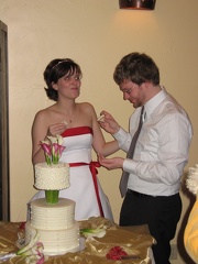 Cutting CakeA